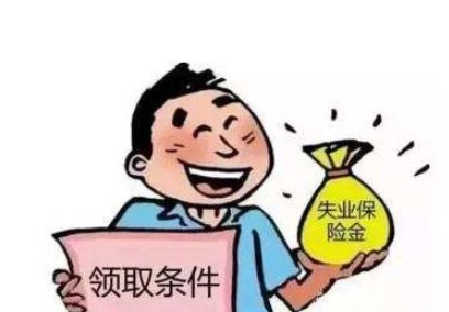 北京市人力资源和社会保障局 北京市财政局 北京