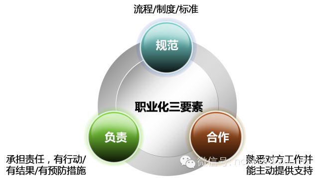 职业化的两个特征包括=职业化的要求是哪两个维度